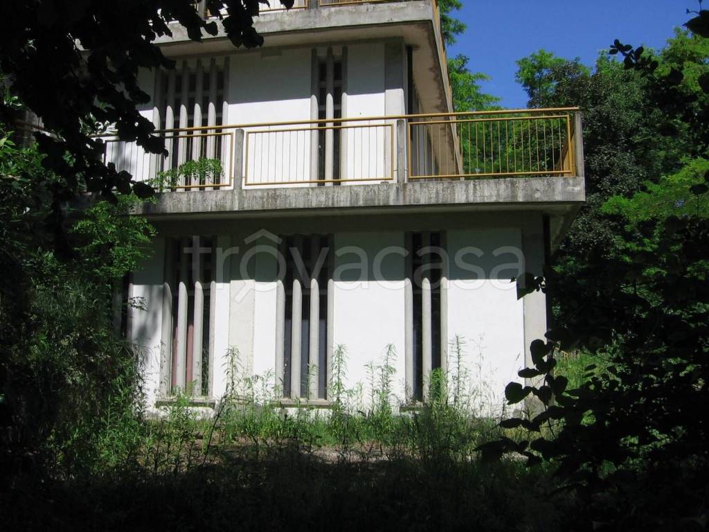 immagine annuncio 5 di 7