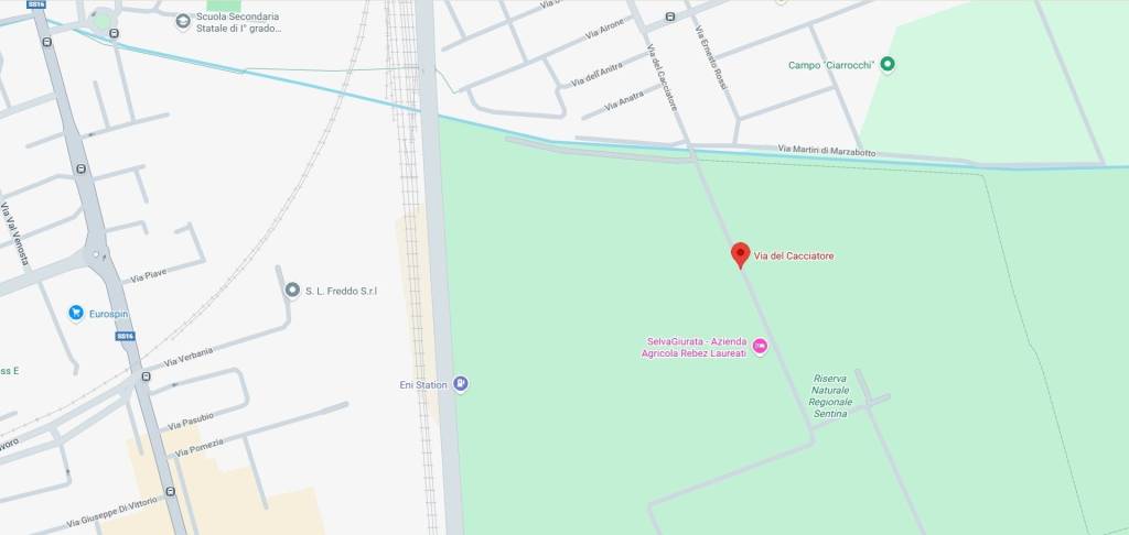 immagine annuncio 1 di 14