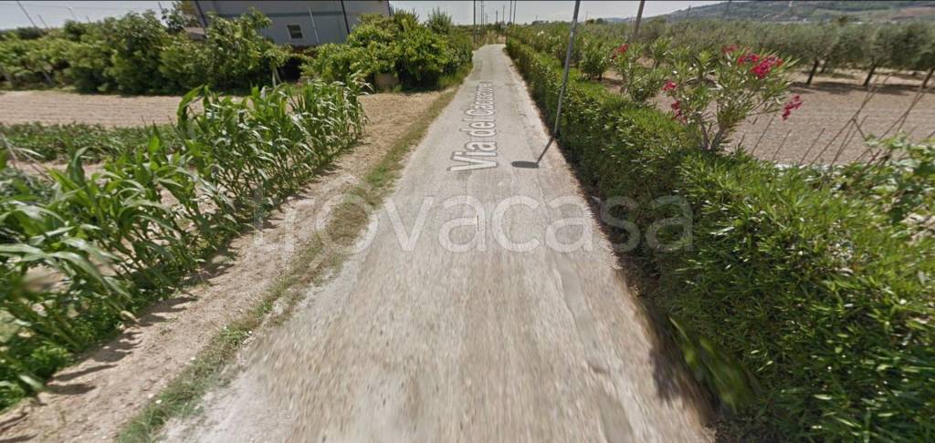 immagine annuncio 8 di 13