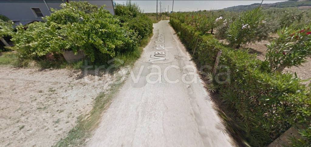 immagine annuncio 9 di 13