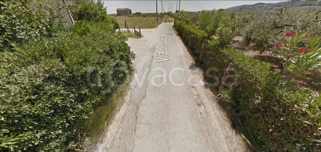 immagine annuncio 11 di 13