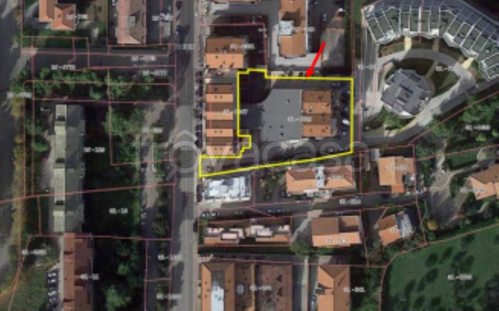 immagine annuncio 2 di 10