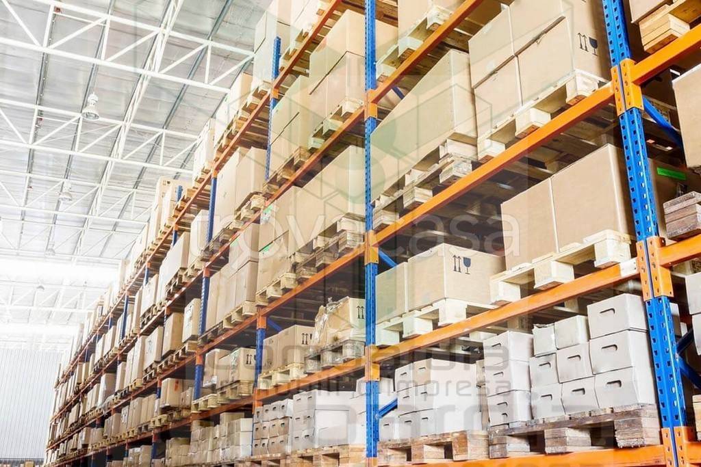 immagine annuncio 1 di 6