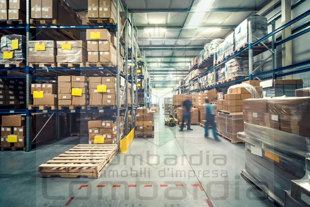 immagine annuncio 3 di 6