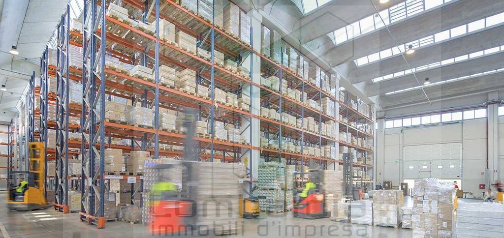 immagine annuncio 5 di 6