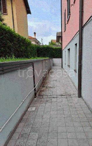 immagine annuncio 1 di 14