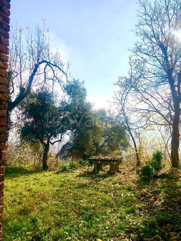 immagine annuncio 7 di 11