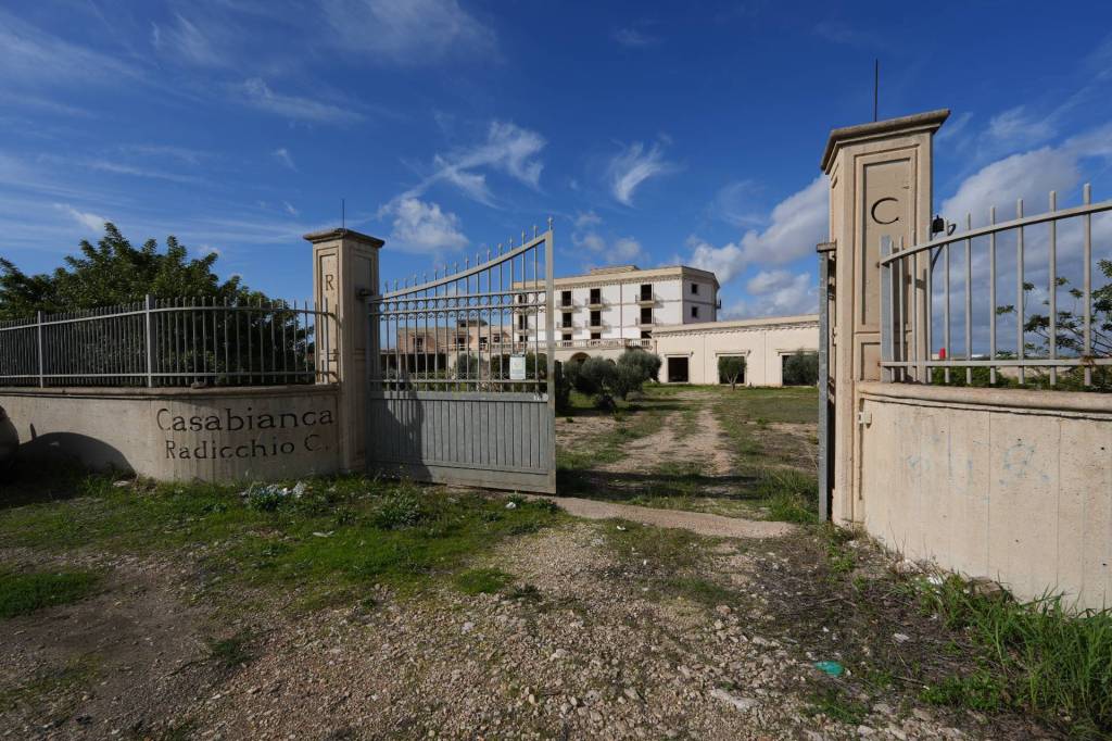 immagine annuncio 5 di 15