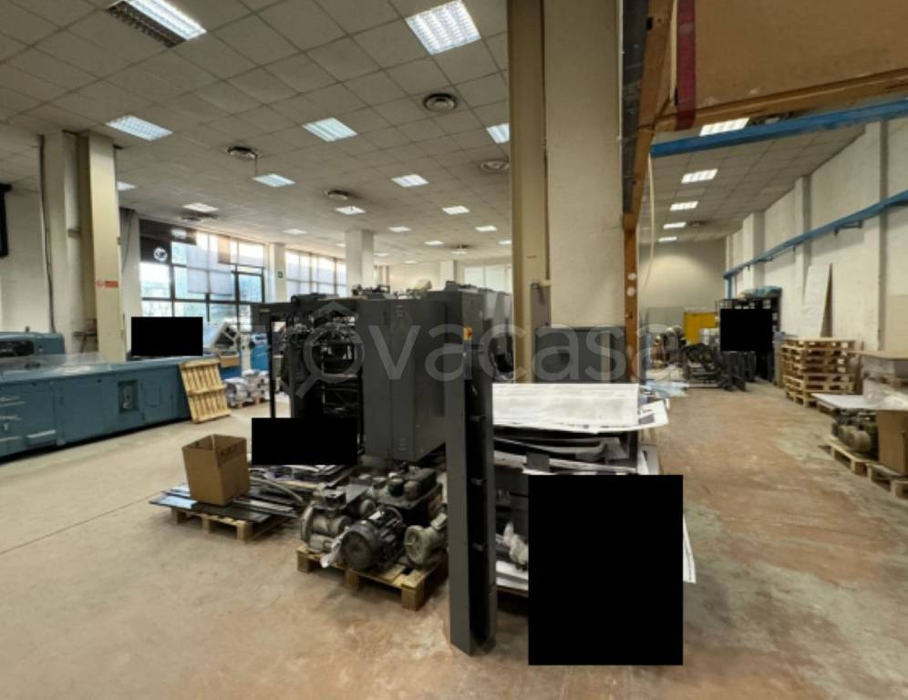 immagine annuncio 4 di 11