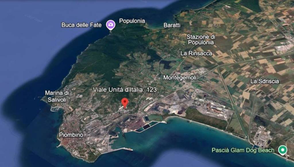 immagine annuncio 12 di 15