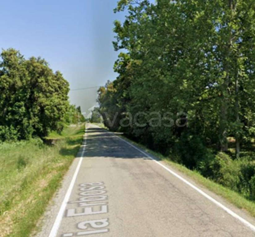 immagine annuncio 5 di 12