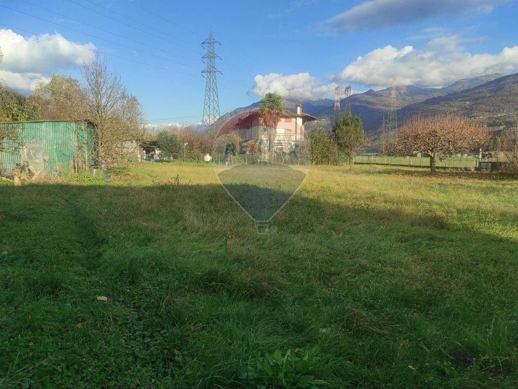 immagine annuncio 3 di 8