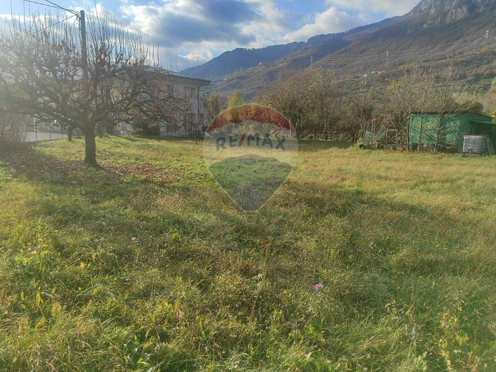 immagine annuncio 5 di 8