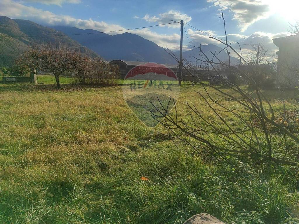 immagine annuncio 6 di 8