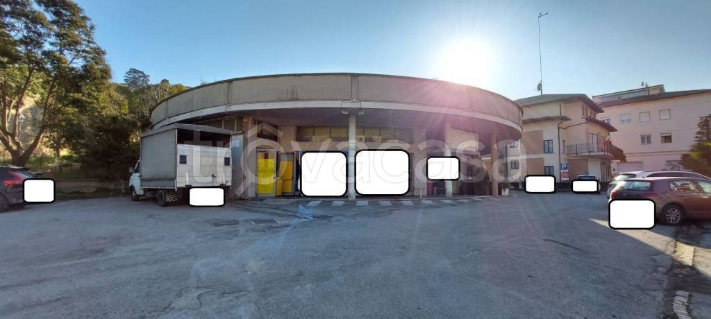 immagine annuncio 1 di 12