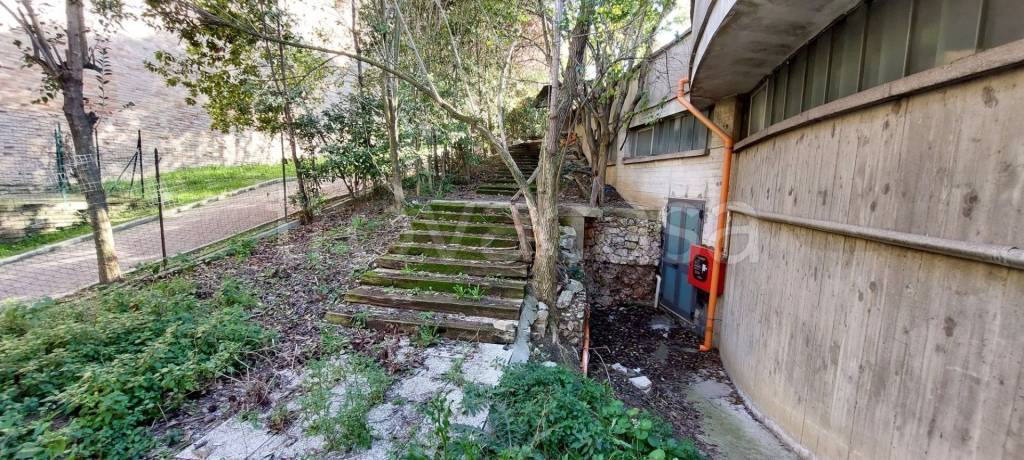 immagine annuncio 9 di 12