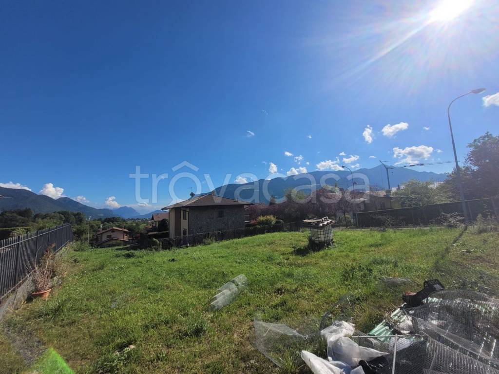 immagine annuncio 2 di 4