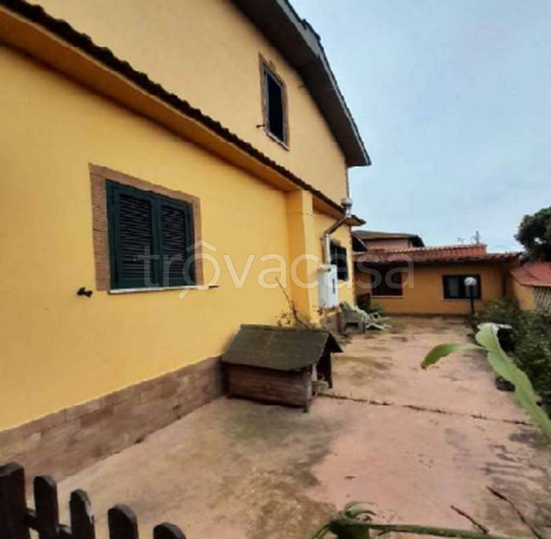 immagine annuncio 6 di 11