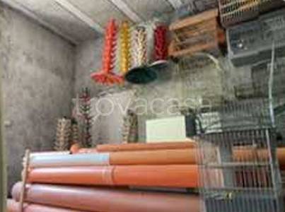 immagine annuncio 7 di 14