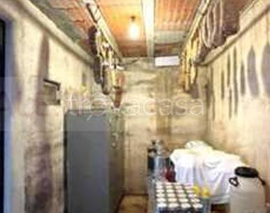 immagine annuncio 10 di 14