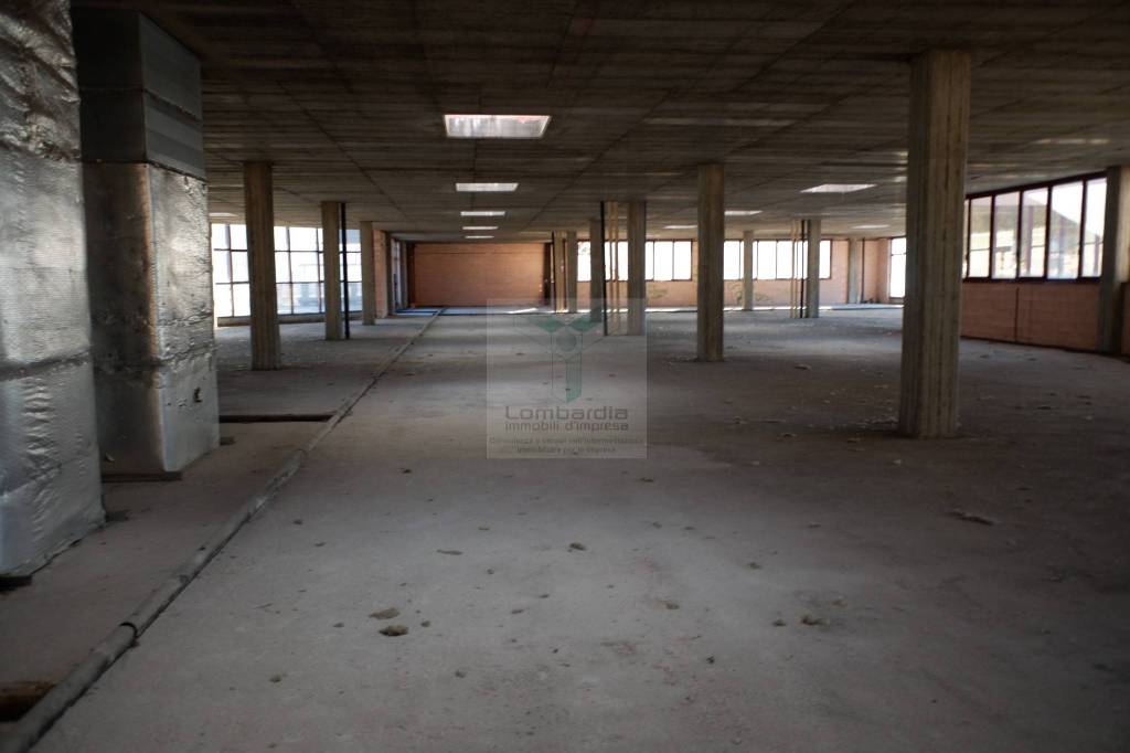 immagine annuncio 2 di 13