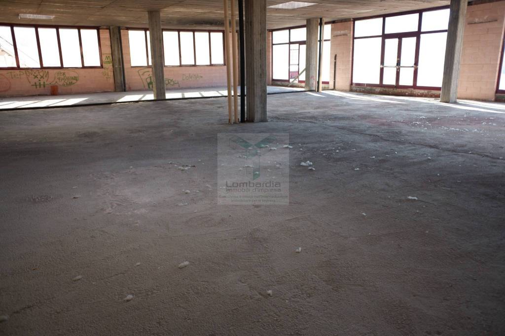 immagine annuncio 3 di 13