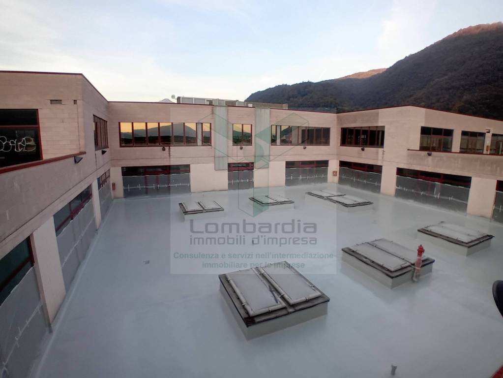 immagine annuncio 4 di 13