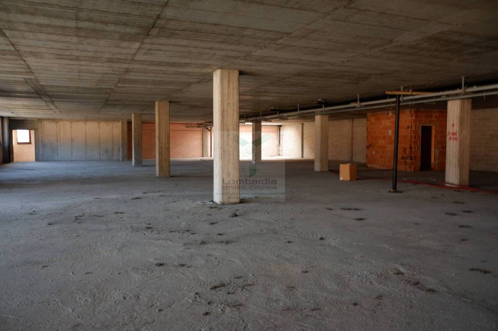 immagine annuncio 9 di 13