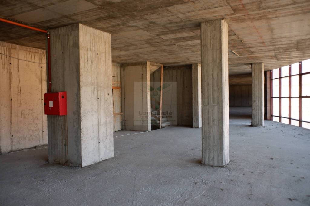 immagine annuncio 7 di 13