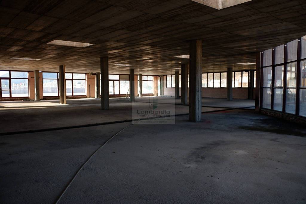 immagine annuncio 11 di 13