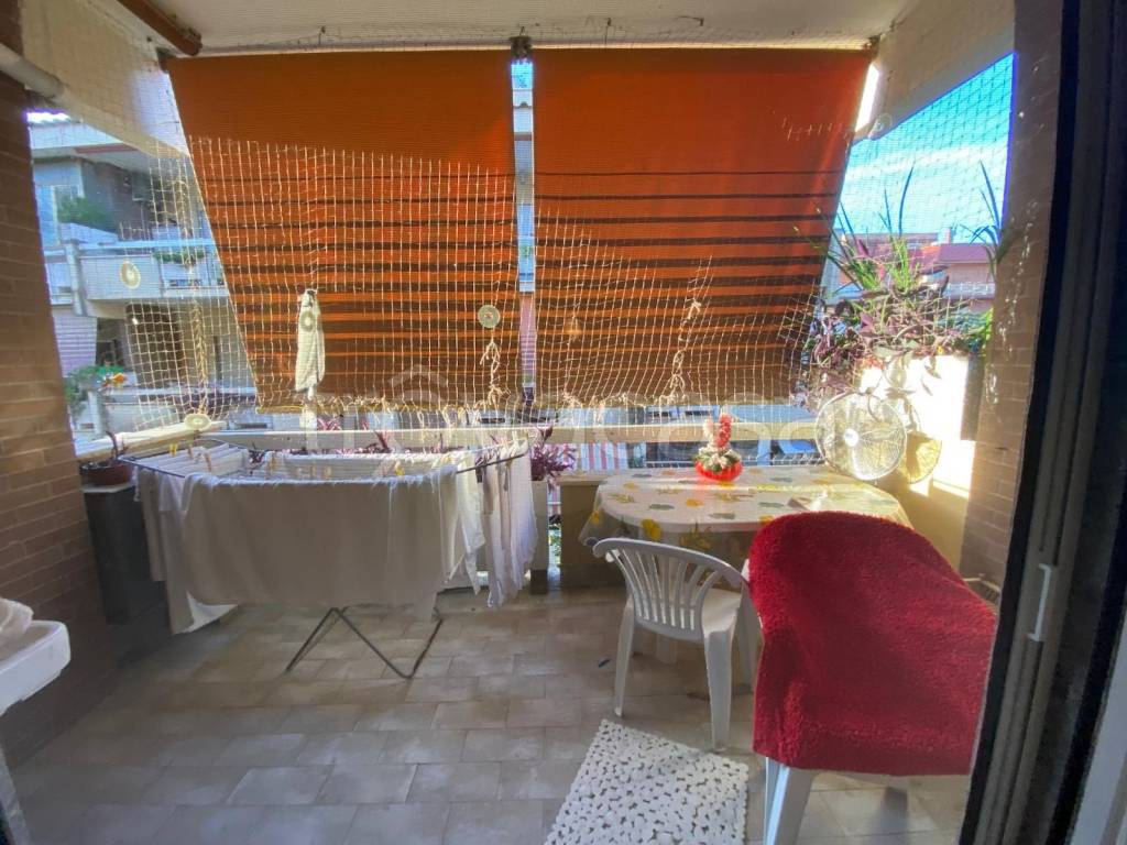 immagine annuncio 11 di 14