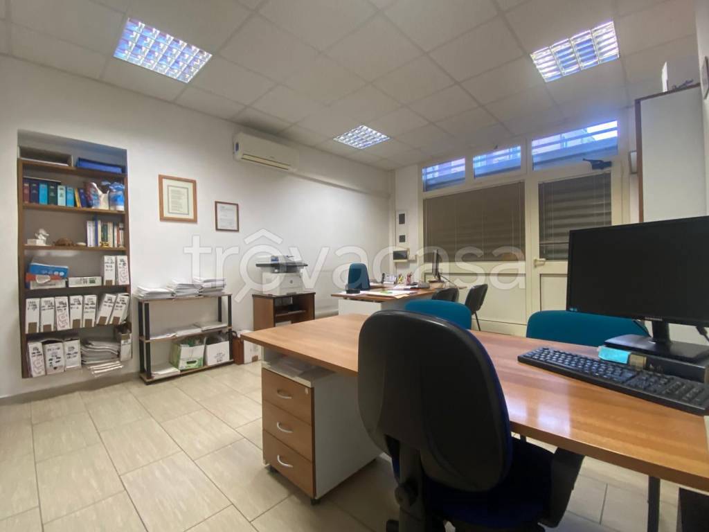 immagine annuncio 5 di 11