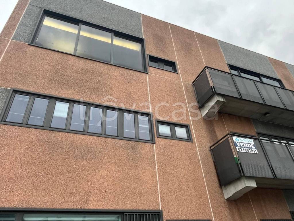 immagine annuncio 9 di 11