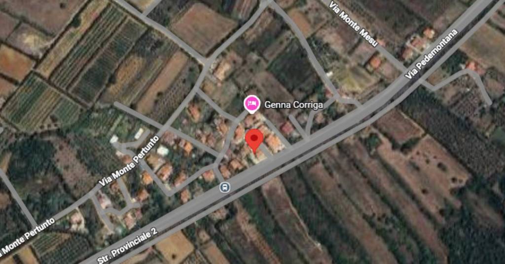 immagine annuncio 10 di 11