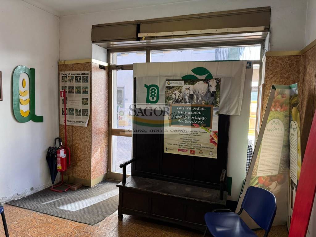 immagine annuncio 2 di 7