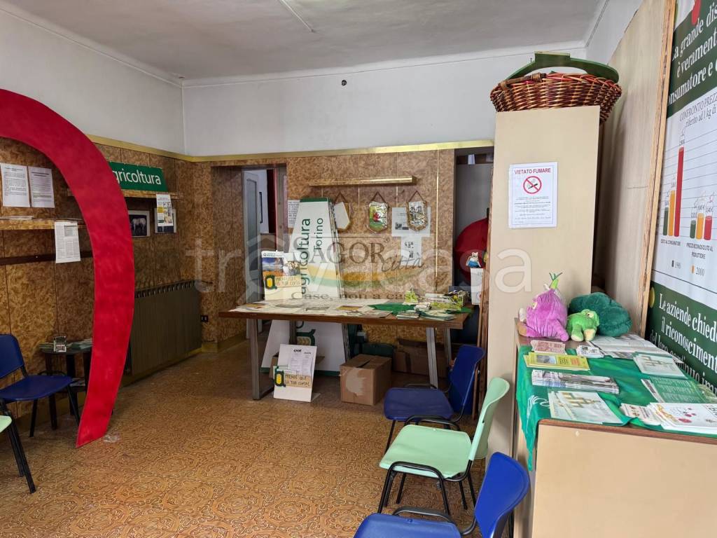 immagine annuncio 3 di 7