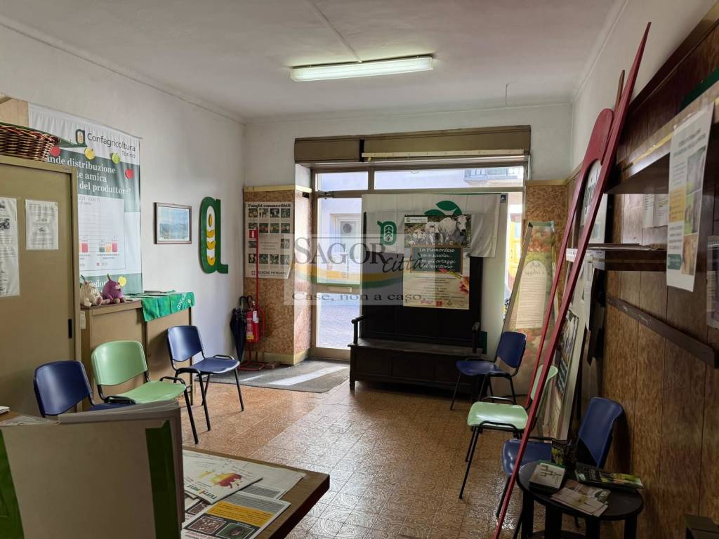 immagine annuncio 4 di 7