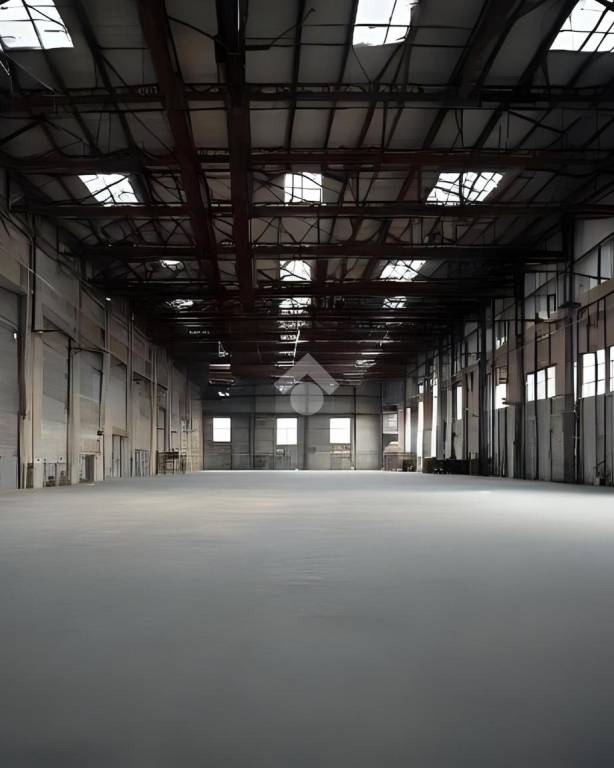 immagine annuncio 3 di 9