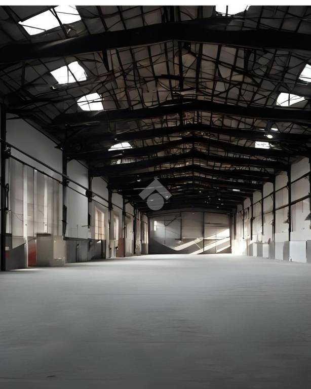 immagine annuncio 4 di 9