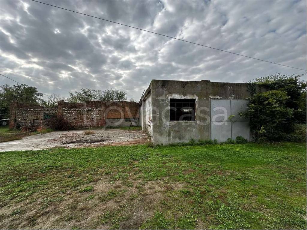 immagine annuncio 4 di 7