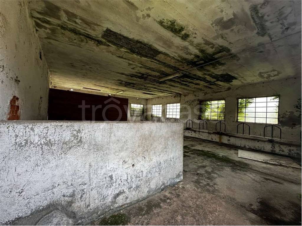 immagine annuncio 6 di 7