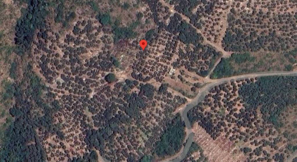 immagine annuncio 6 di 11