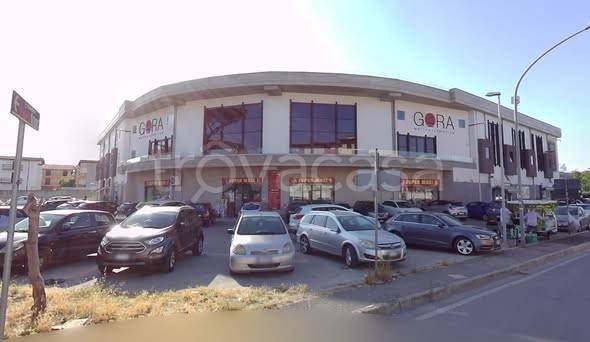 immagine annuncio 5 di 6