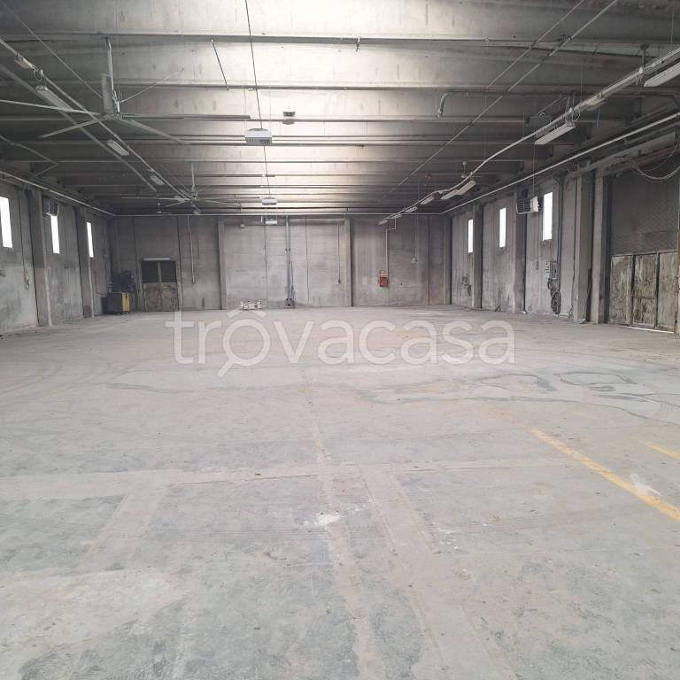 immagine annuncio 2 di 7