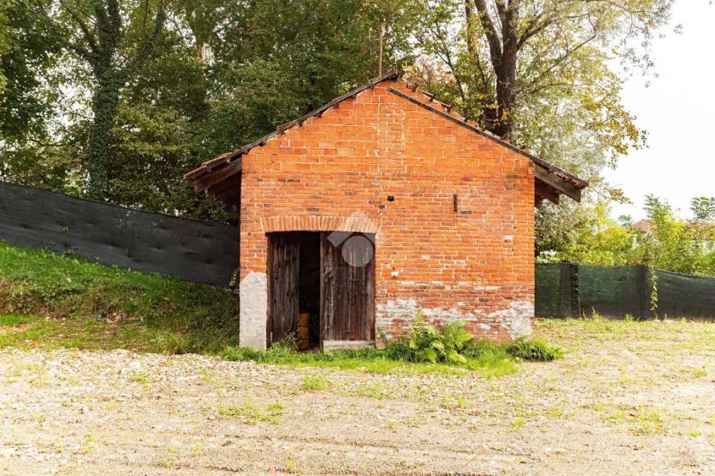 immagine annuncio 11 di 15