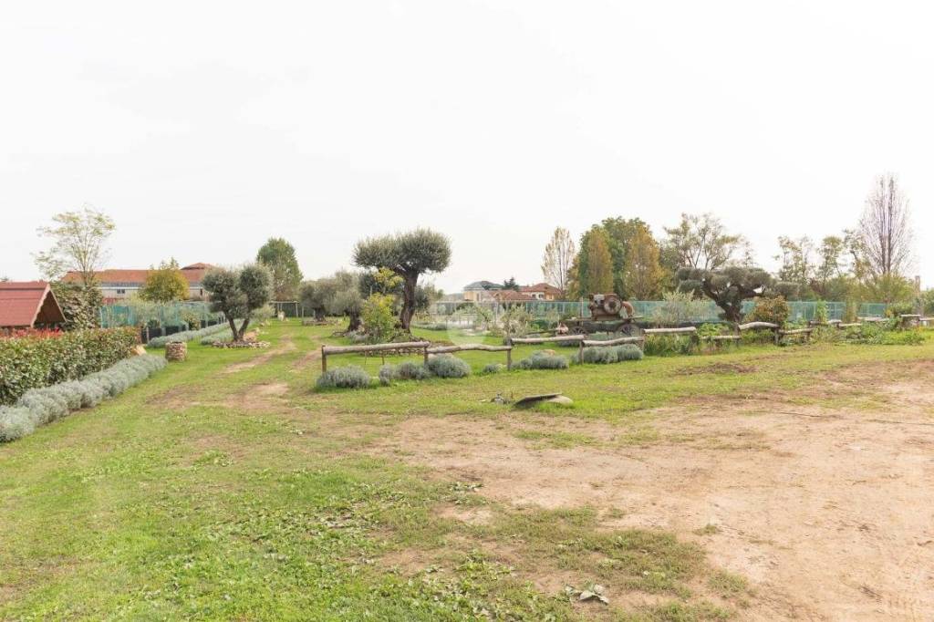 immagine annuncio 13 di 15