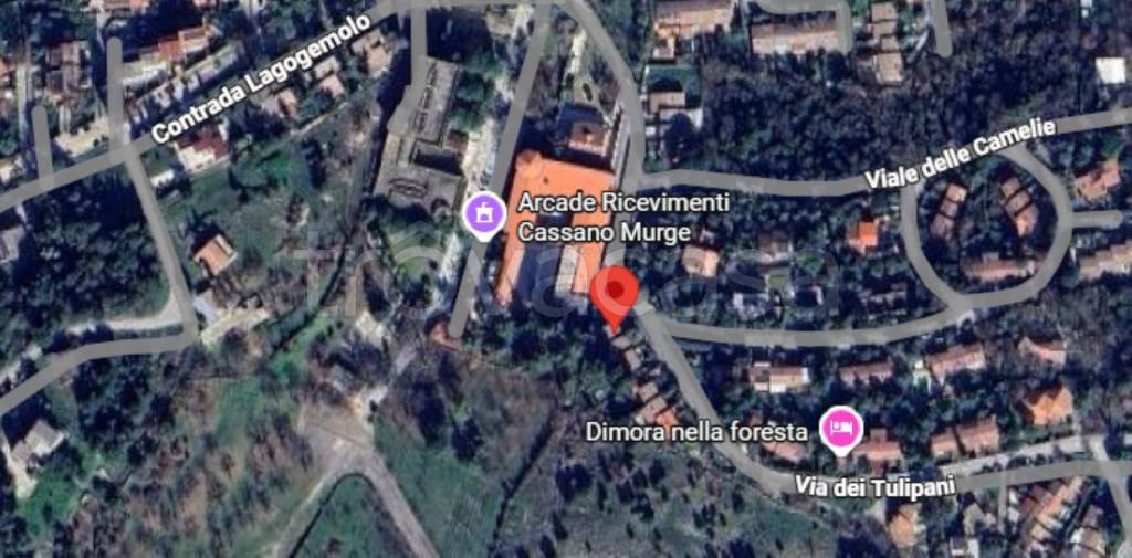 immagine annuncio 4 di 12