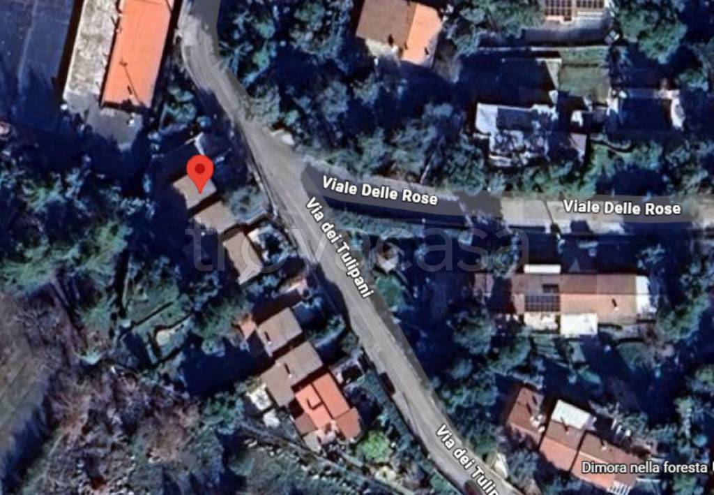 immagine annuncio 6 di 12