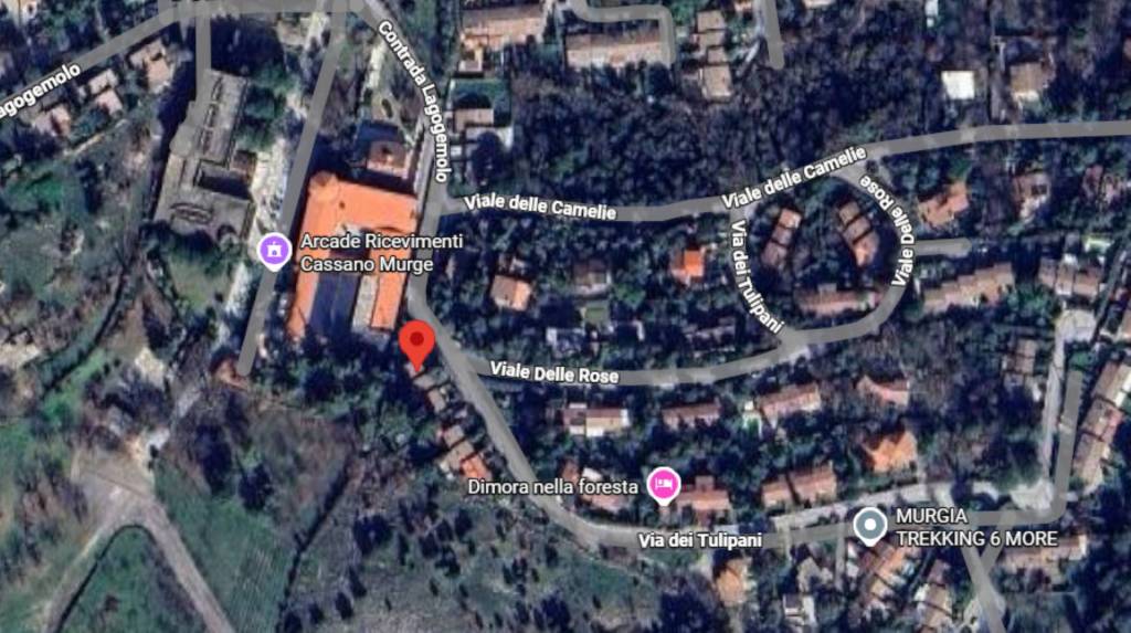 immagine annuncio 7 di 12