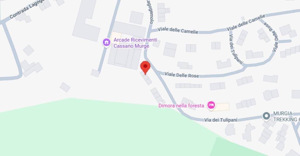 immagine annuncio 9 di 12